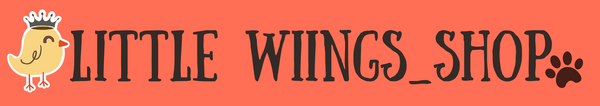 Little wings_store